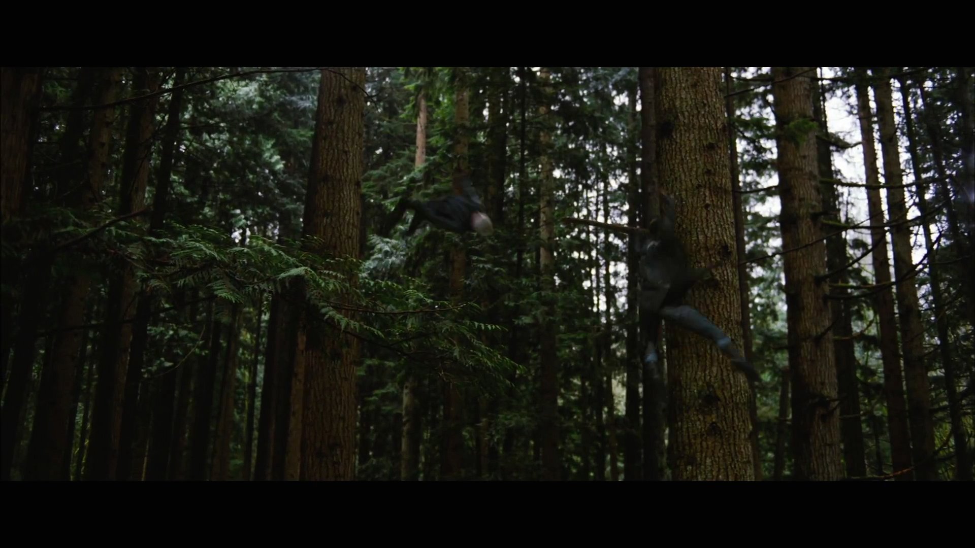 BDPt2Trailer0118.jpg