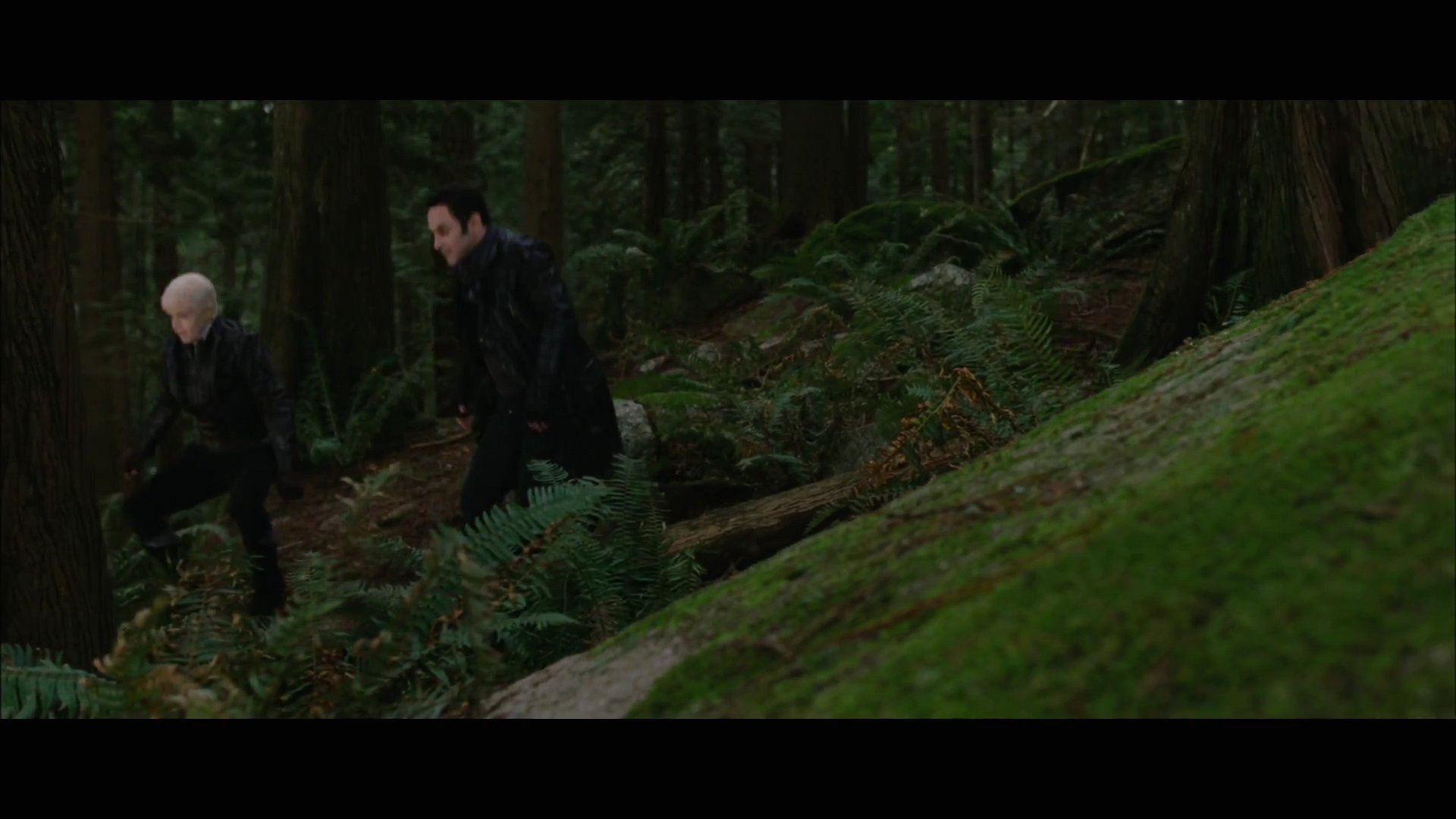 BDPt2Trailer0119.jpg