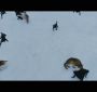 BDPt2Trailer0151.jpg