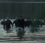 EclipseVampireArmy0029.jpg