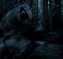 EclipseVampireArmy0097.jpg