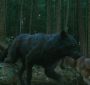 EclipseTrailer0054.jpg