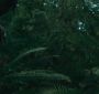 EclipseTrailer0072.jpg