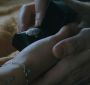 EclipseTrailer0090.jpg