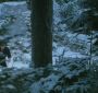 EclipseTrailer0117.jpg