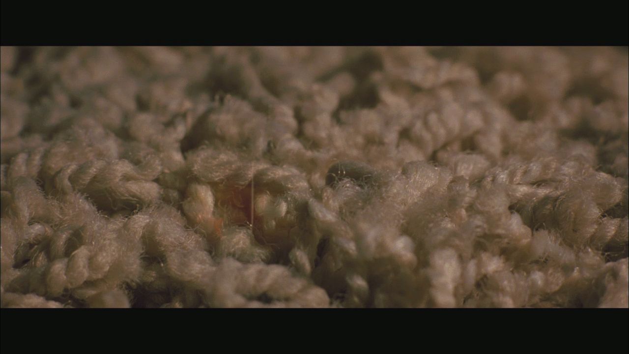 NewMoonMTVClip0064.jpg