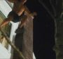 NewMoonMeetJacob0047.jpg
