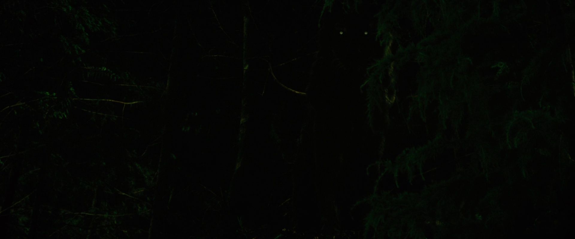 NewMoon0891.jpg