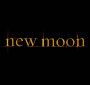 Filename=NewMoon0005.jpg
Filesize=24KiB
Dimensions=1920x800
Date added=Mar 06, 2010 NewMoon0005.jpg