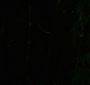 NewMoon0891.jpg