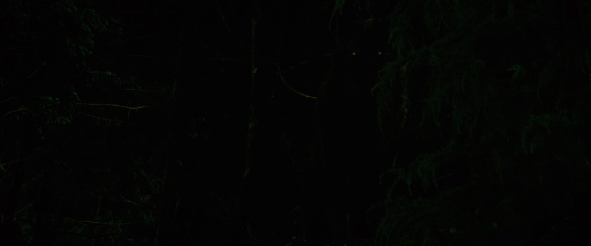 NewMoon2243.jpg