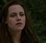 NewMoon2002.jpg