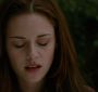 Filename=NewMoon2022.jpg
Filesize=81KiB
Dimensions=1920x800
Date added=Mar 07, 2010 NewMoon2022.jpg