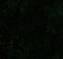 NewMoon2092.jpg