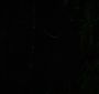 NewMoon2243.jpg