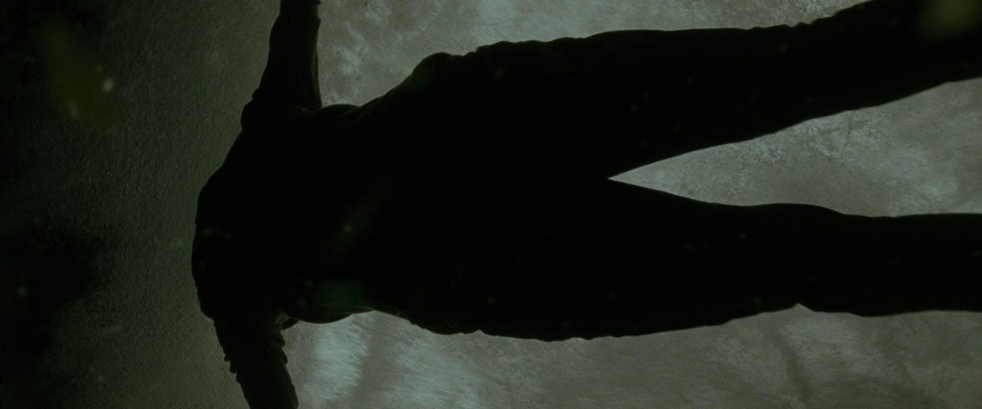 NewMoon2671.jpg