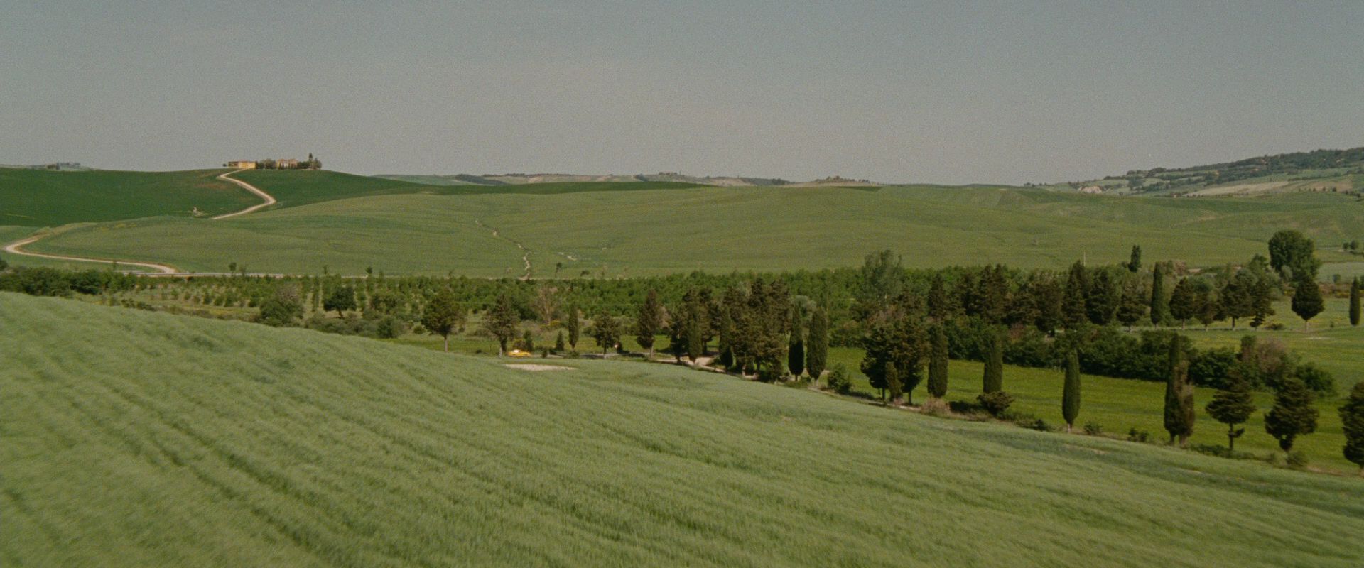 NewMoon3014.jpg