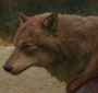 Filename=NewMoonTVSpot0014.jpg
Filesize=70KiB
Dimensions=1280x720
Date added=Mar 05, 2010 NewMoonTVSpot0014.jpg