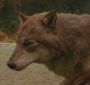 Filename=NewMoonTVSpot0015.jpg
Filesize=64KiB
Dimensions=1280x720
Date added=Mar 05, 2010 NewMoonTVSpot0015.jpg
