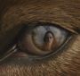 Filename=NewMoonTVSpot0016.jpg
Filesize=81KiB
Dimensions=1280x720
Date added=Mar 05, 2010 NewMoonTVSpot0016.jpg