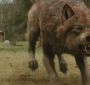Filename=NewMoonTVSpot0019.jpg
Filesize=71KiB
Dimensions=1280x720
Date added=Mar 05, 2010 NewMoonTVSpot0019.jpg