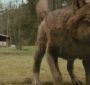 Filename=NewMoonTVSpot0020.jpg
Filesize=75KiB
Dimensions=1280x720
Date added=Mar 05, 2010 NewMoonTVSpot0020.jpg
