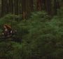 Filename=NewMoonTVSpot0034.jpg
Filesize=87KiB
Dimensions=1280x720
Date added=Mar 05, 2010 NewMoonTVSpot0034.jpg