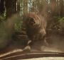 Filename=NewMoonTVSpot0044.jpg
Filesize=90KiB
Dimensions=1280x720
Date added=Mar 05, 2010 NewMoonTVSpot0044.jpg