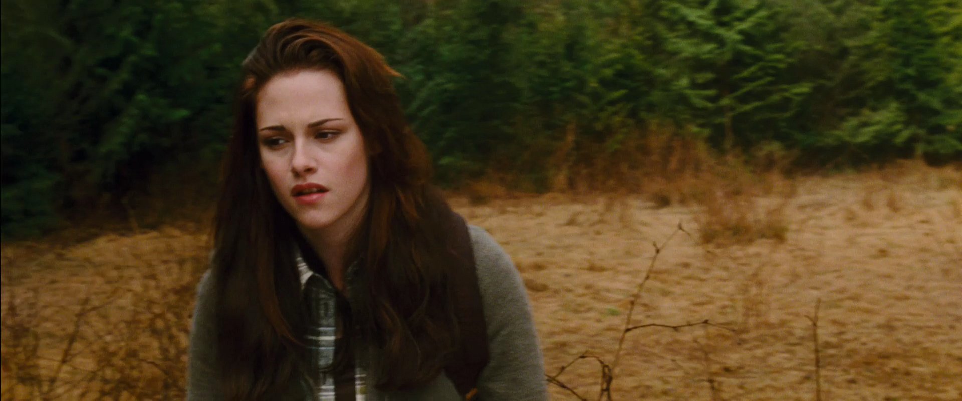 NewMoon_Teaser0081.jpg