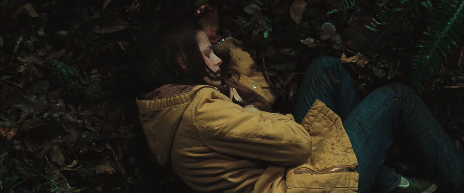 NewMoonTrailer0039.jpg