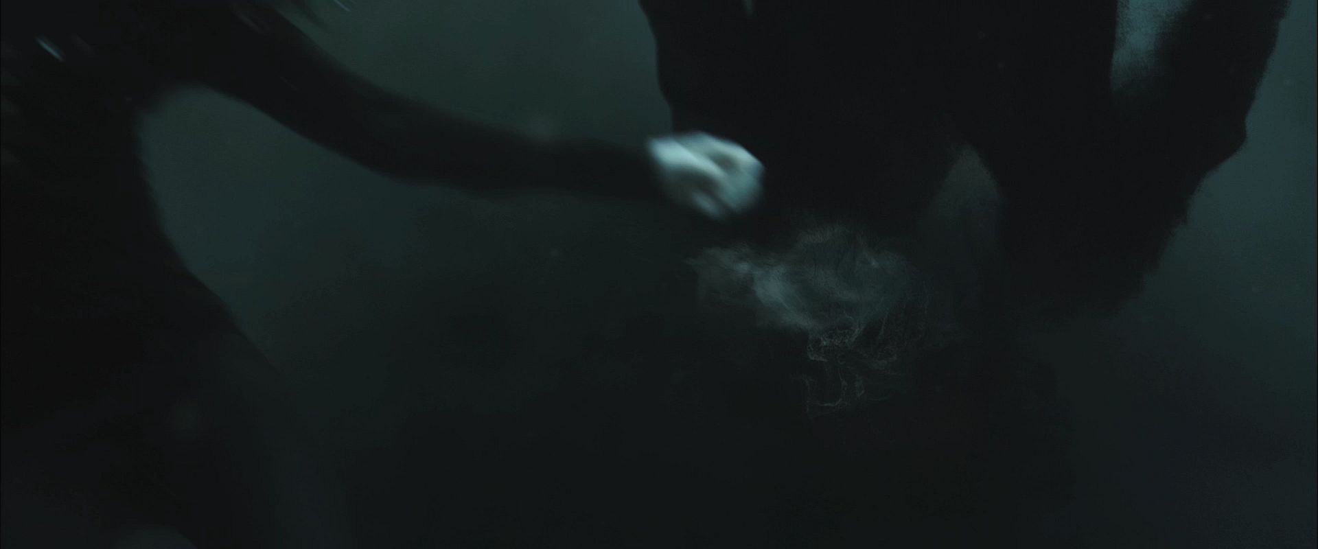 NewMoonTrailer0091.jpg