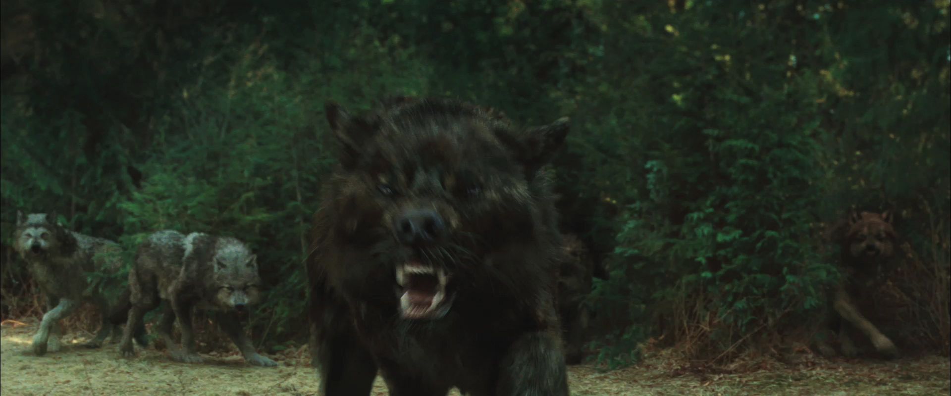 NewMoonTrailer0148.jpg