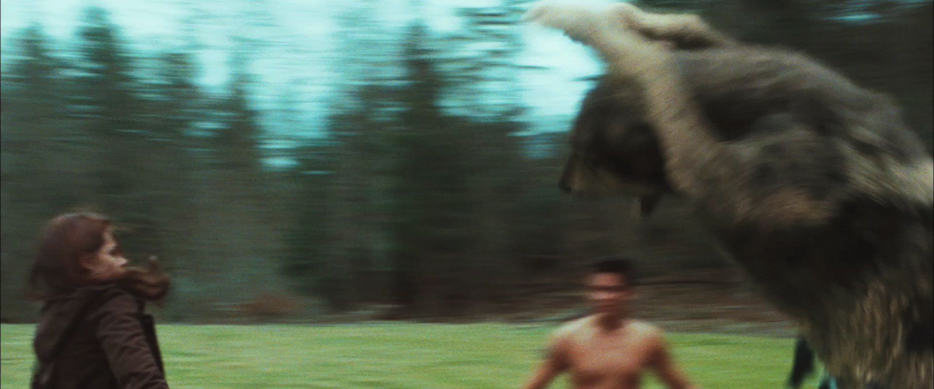 NewMoonTrailer0156.jpg