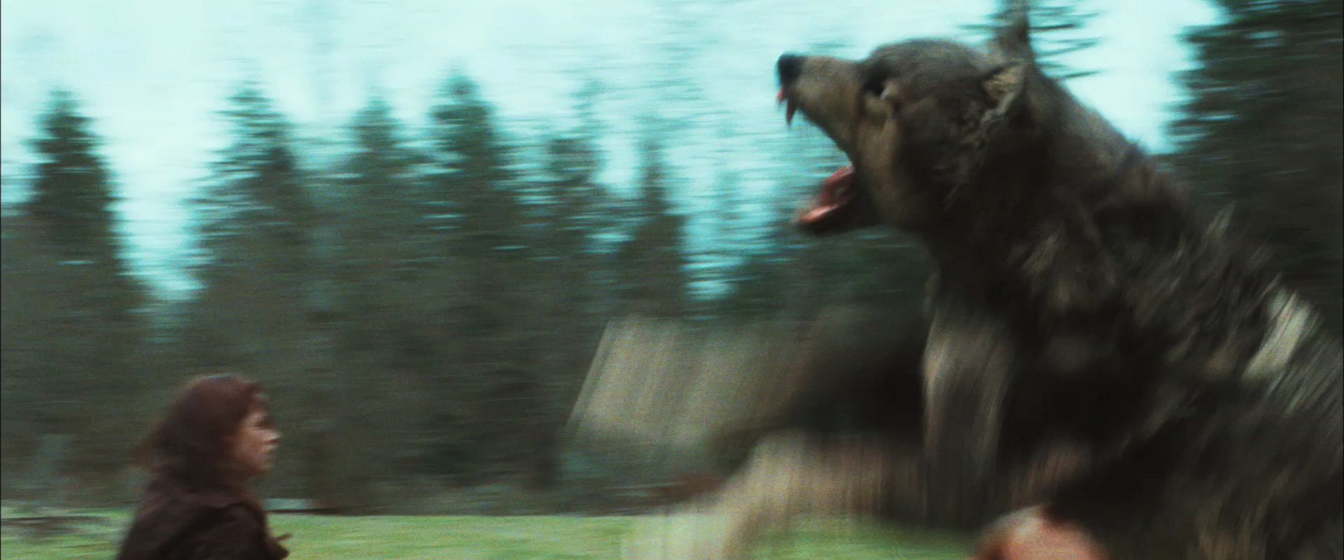 NewMoonTrailer0157.jpg