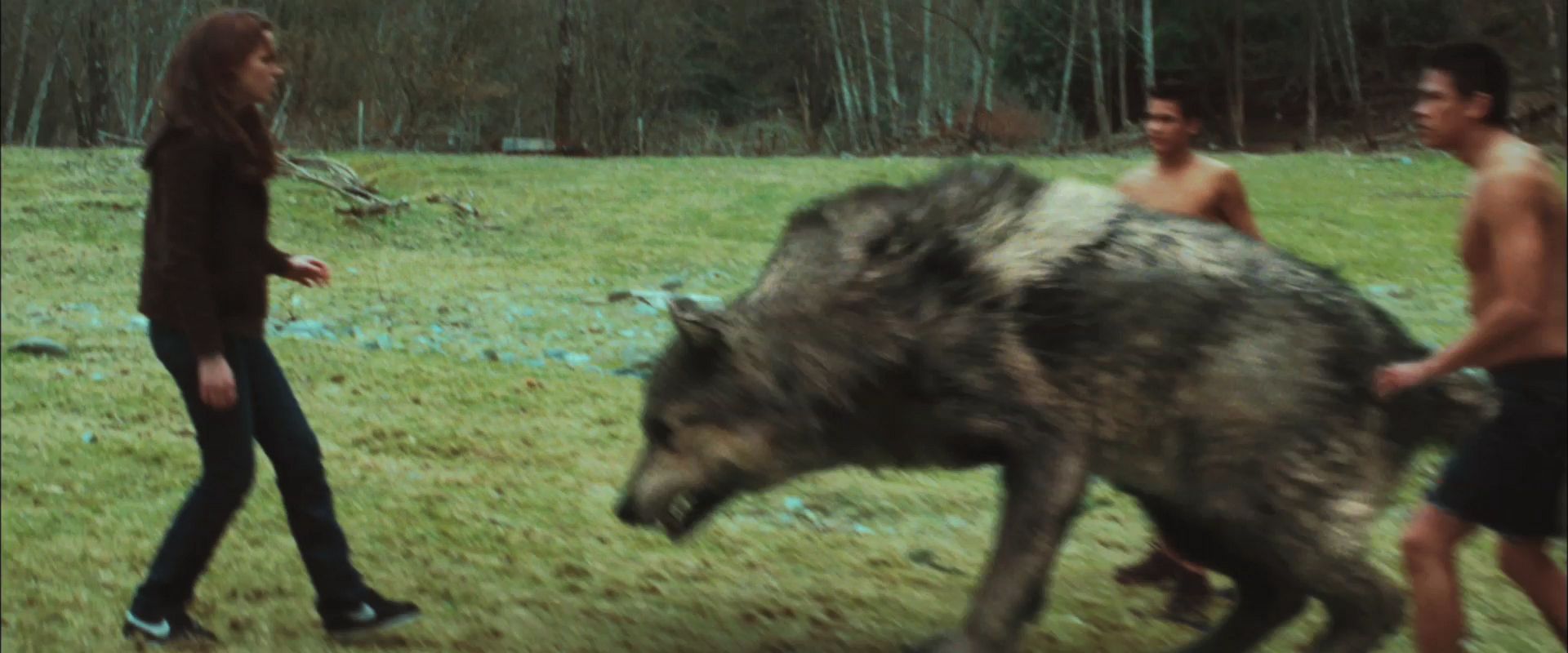 NewMoonTrailer0158.jpg