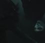NewMoonTrailer0089.jpg