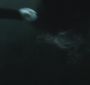 NewMoonTrailer0092.jpg