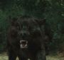 NewMoonTrailer0148.jpg