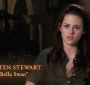 NewMoonVolturi0022.jpg