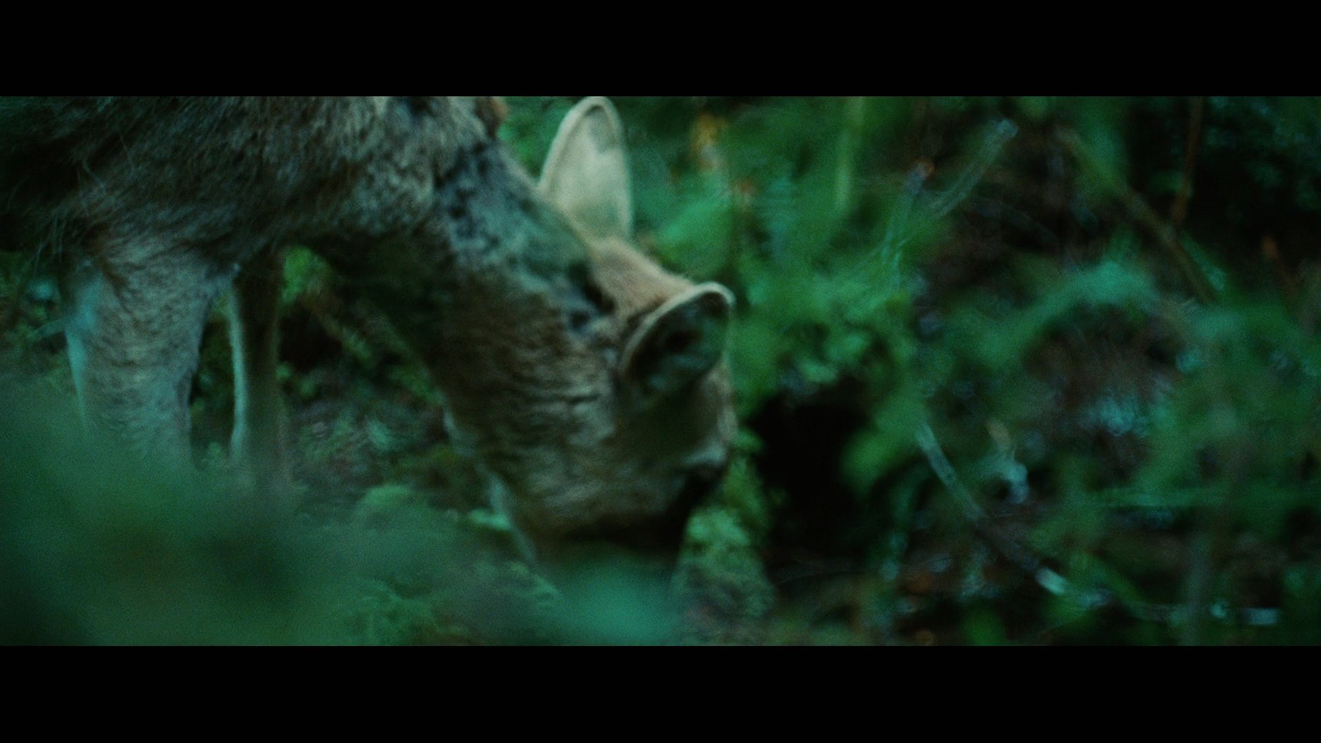 Twilight0005.jpg