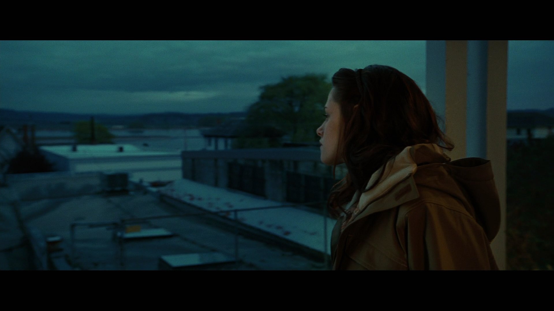 Twilight1234.jpg