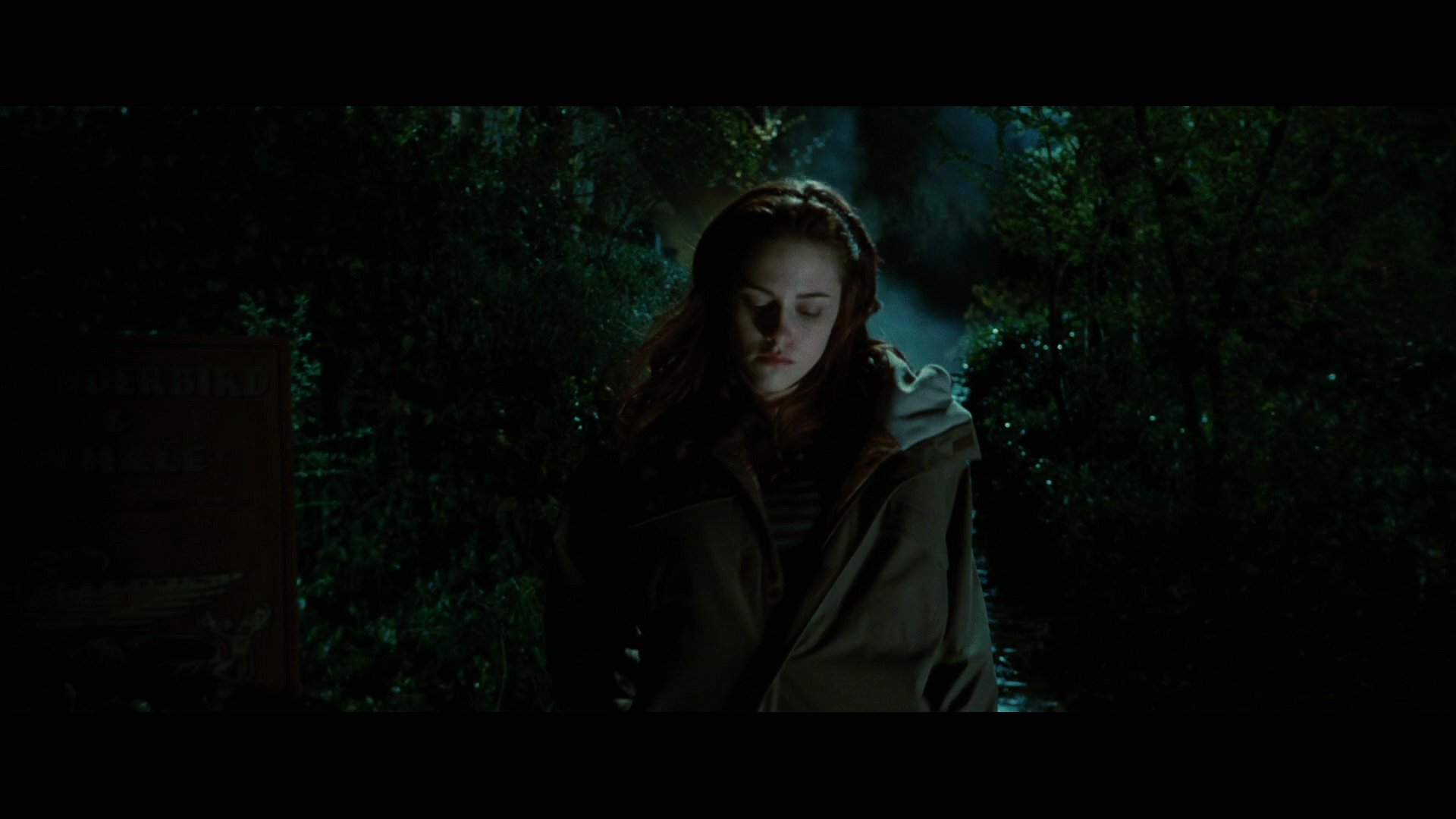 Twilight1242.jpg