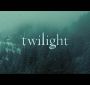 Twilight0032.jpg