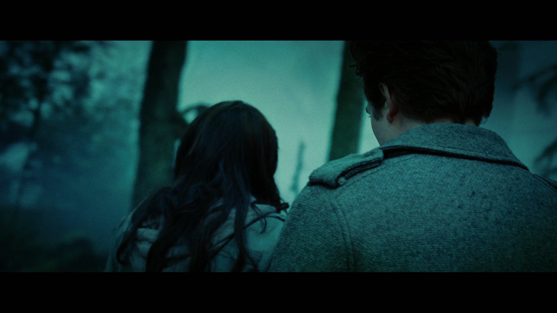 Twilight1601.jpg