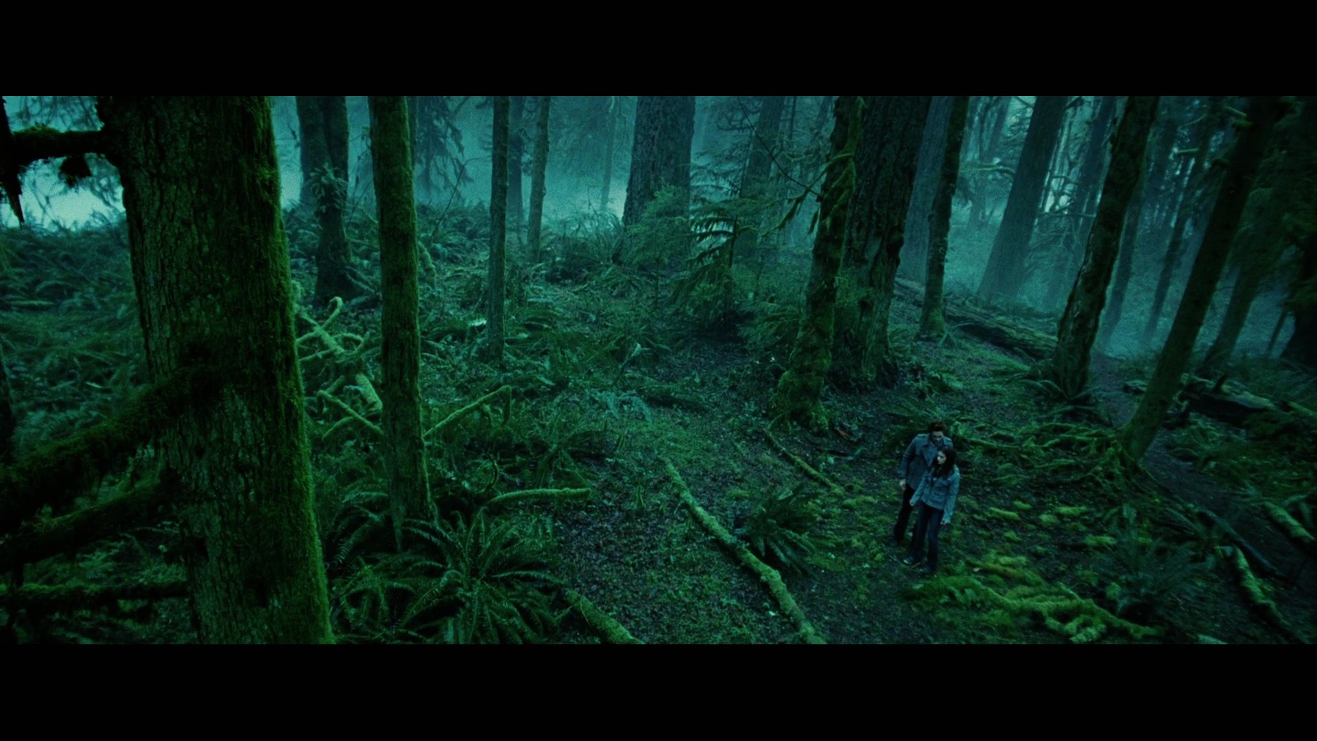 Twilight1613.jpg