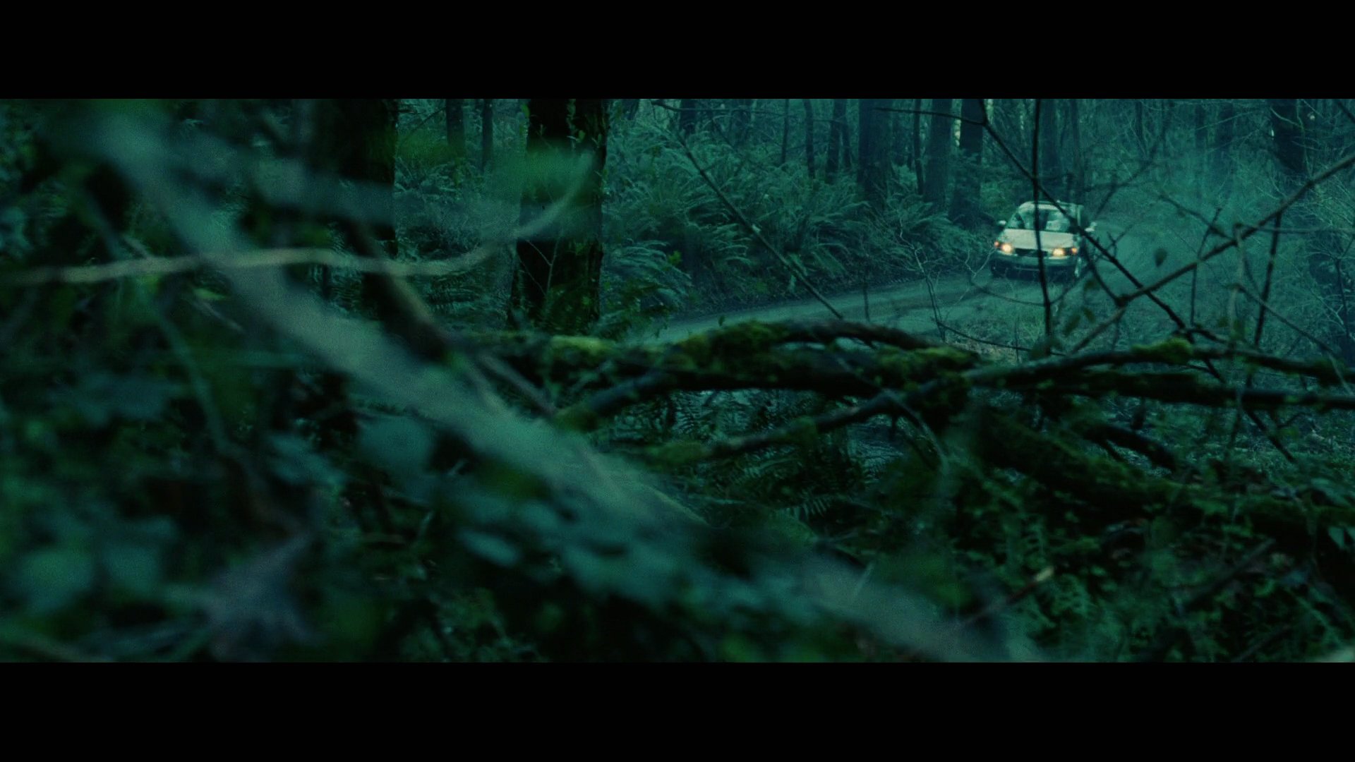 Twilight2015.jpg