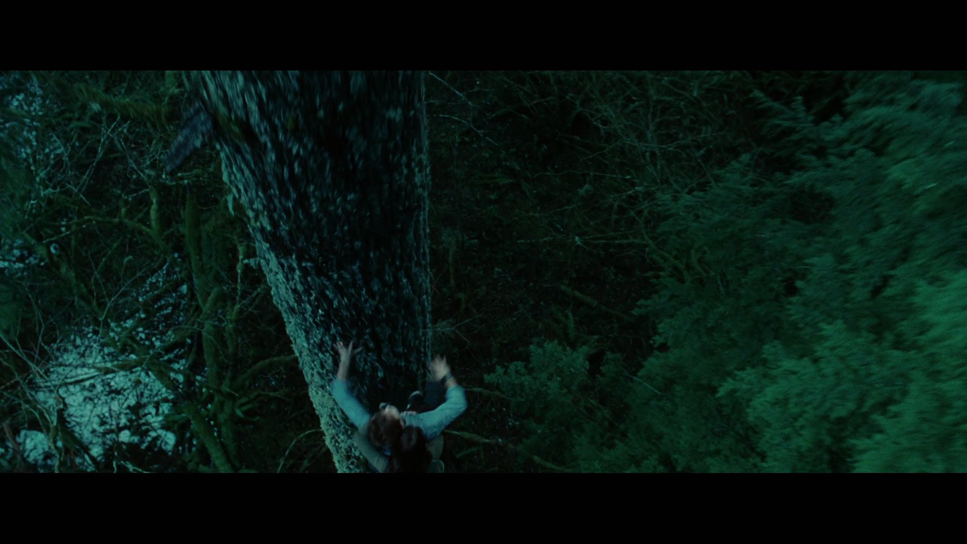 Twilight2242.jpg