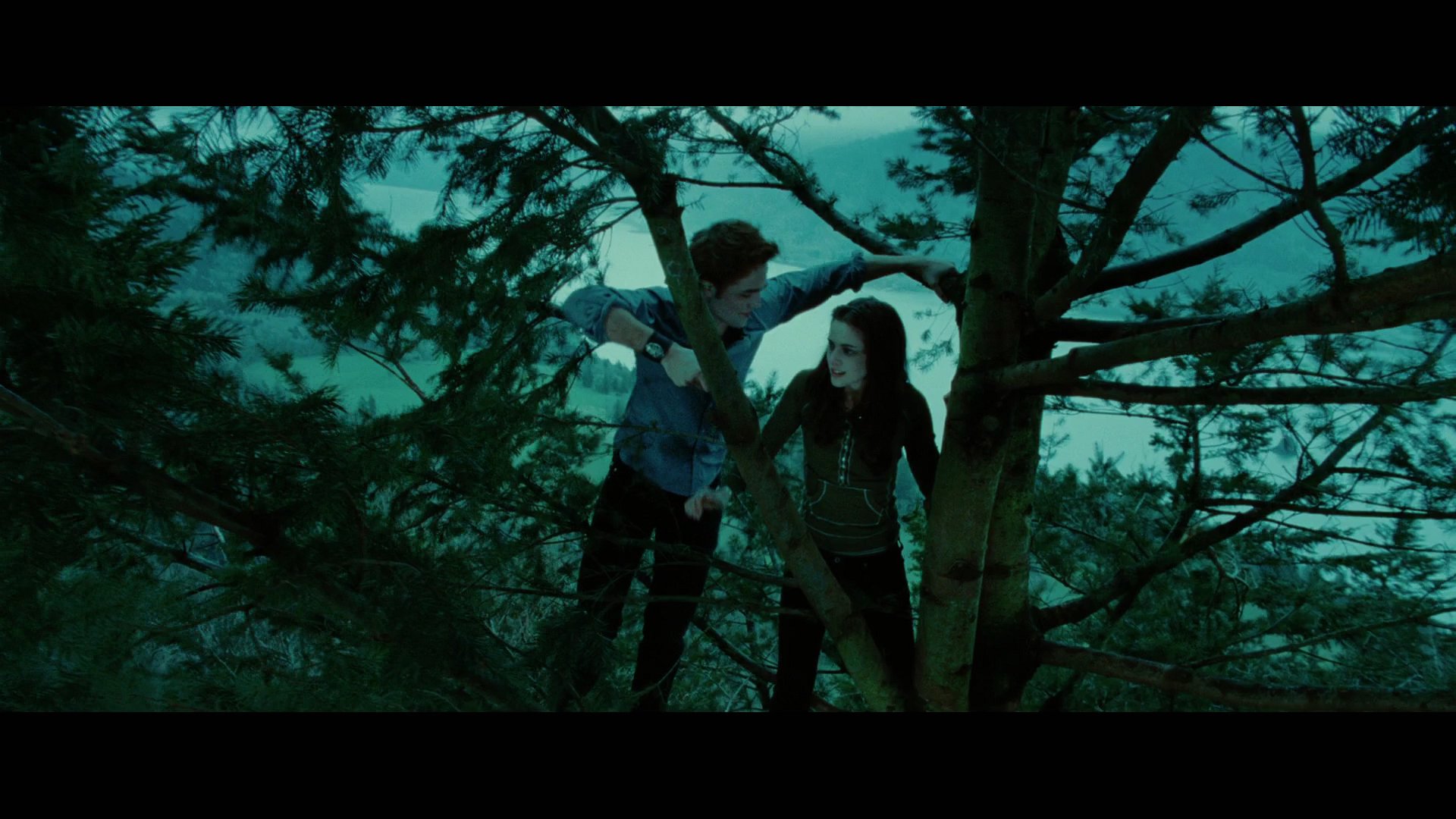 Twilight2246.jpg