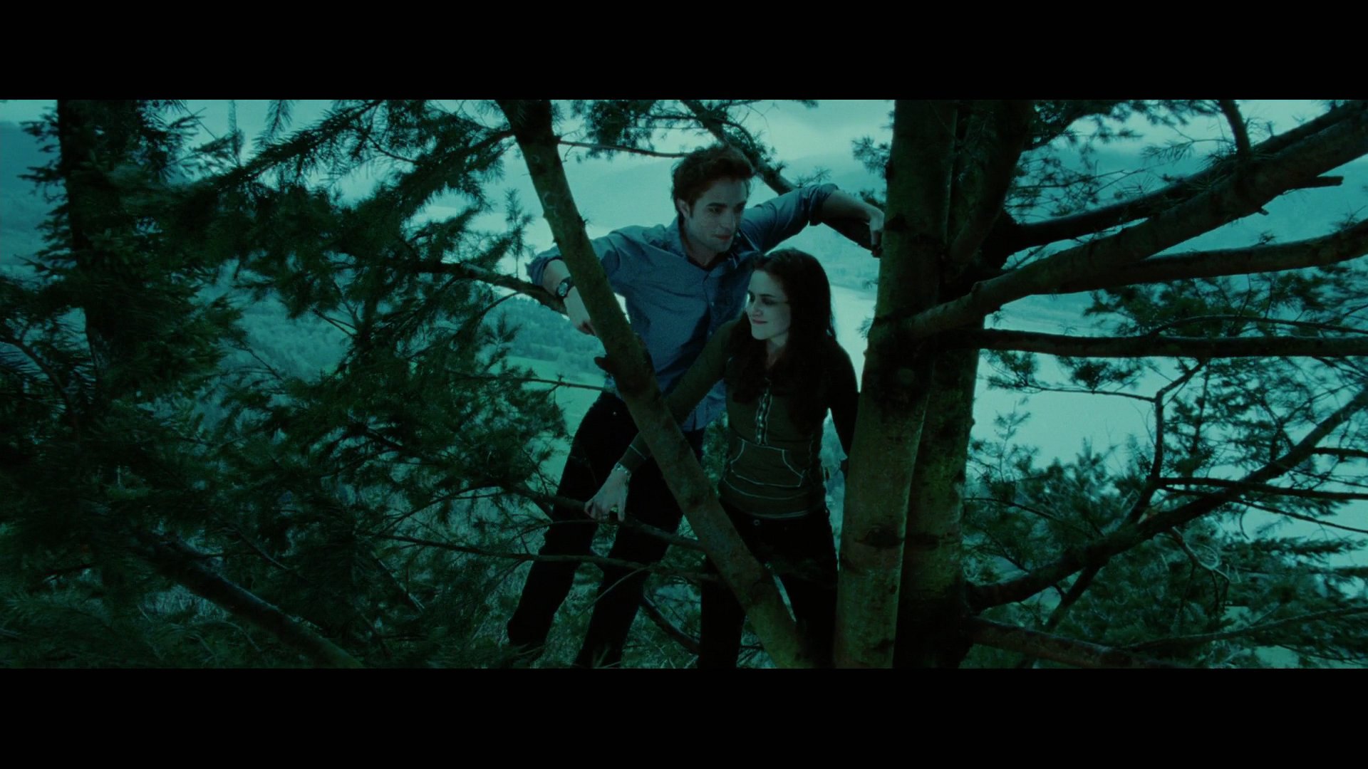 Twilight2247.jpg