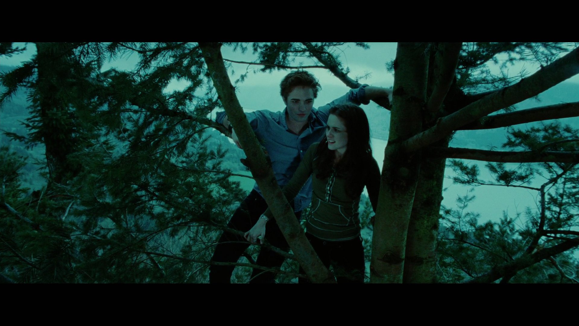 Twilight2248.jpg